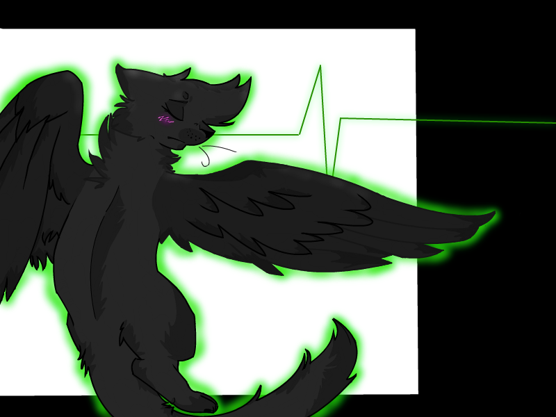 Hollyleaf Tribute By Simplymisty On Deviantart - Anime Cat Hollyleaf From Warriors (800x600)