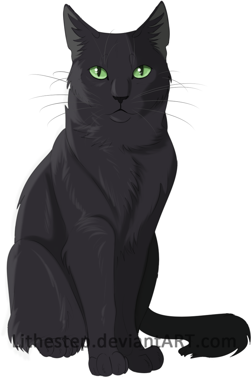 Black And White Siamese Cat For Kids - Black Warrior Cat Art (855x1291)