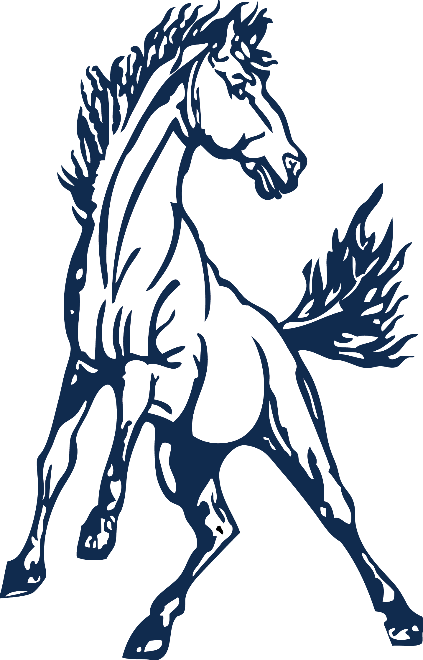Prev - Immaculate High School Mustangs (1435x2238)