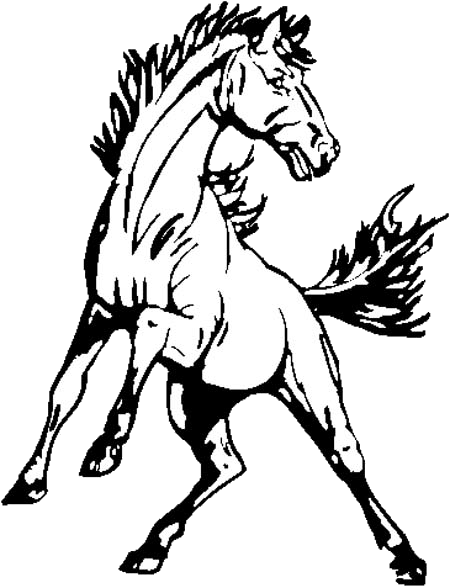 Black And White Mustang Horse (450x588)