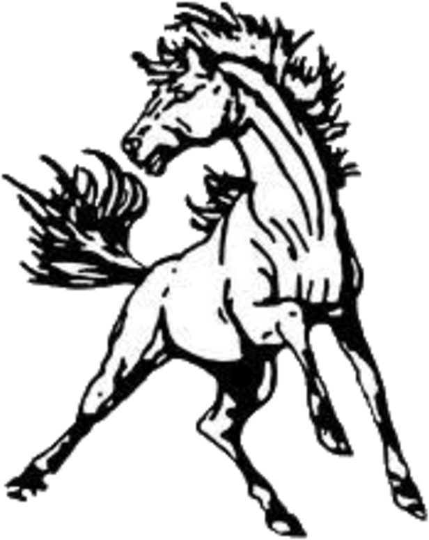 North Moore Logo - North Moore High School (720x868)