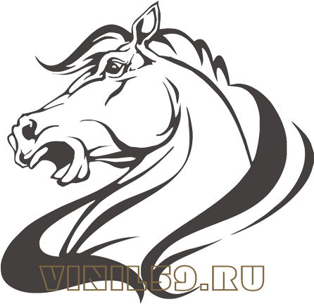 Наклейка Силуэт Лошади - Mane (445x440)