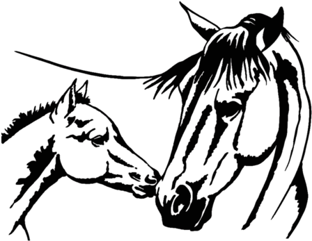Силуэты Лошадей - Mom Anf Baby Horse Drawing (500x500)