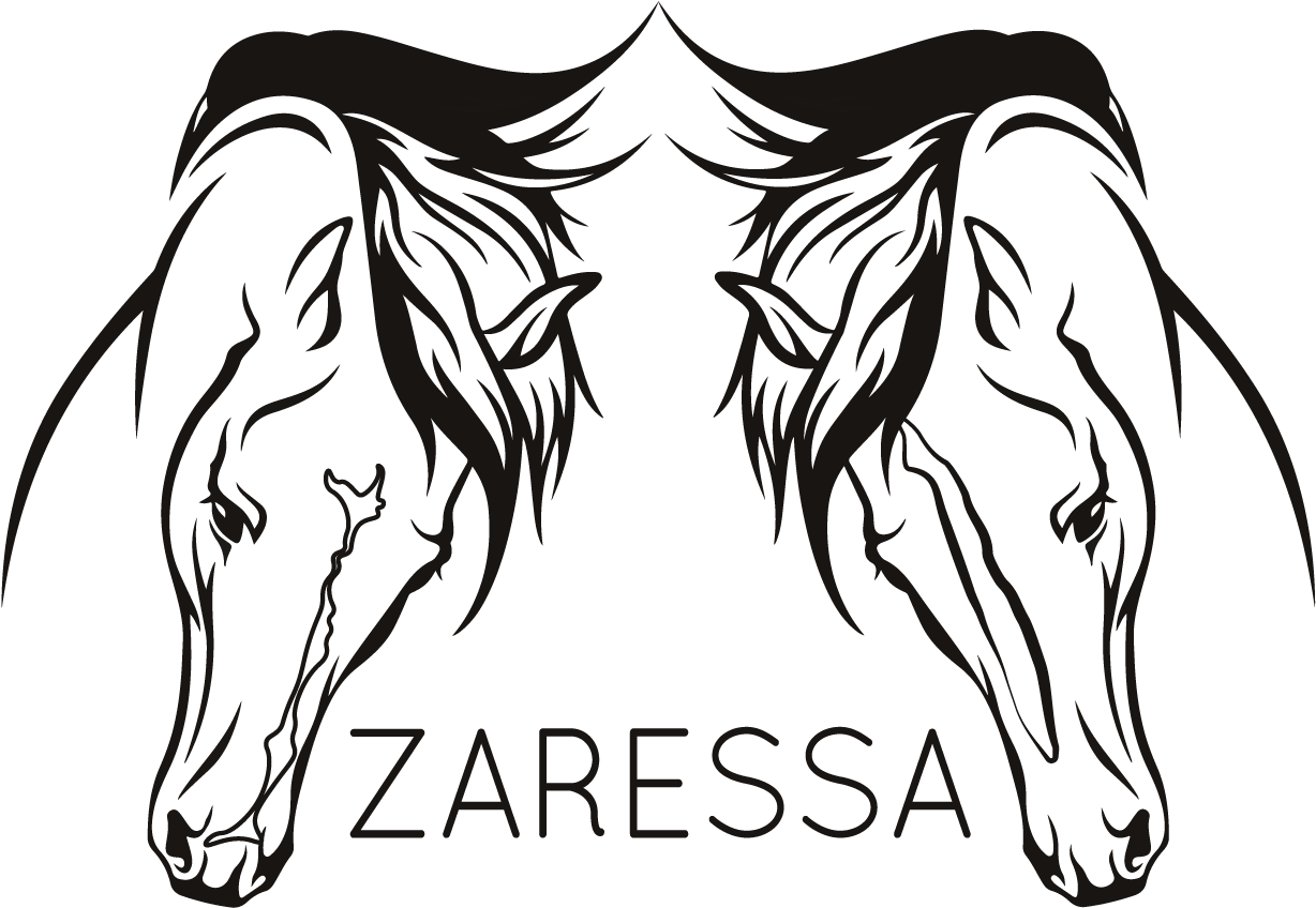 Logo Transparante Achtergrond - Easy Horse Head Drawing (1271x888)