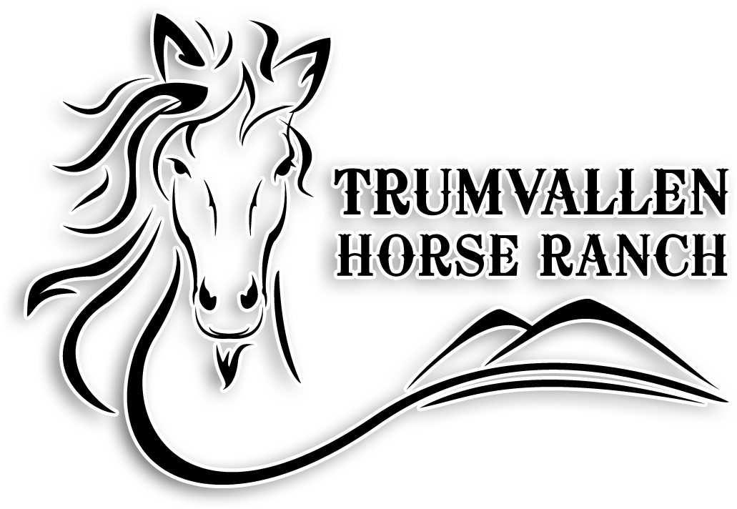 Horse Cross Stitch Patterns (1100x759)