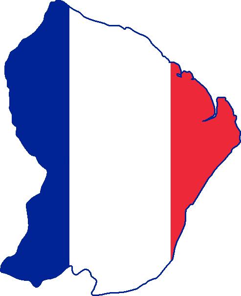 French Guiana Flag Map - French Guiana Flag Map (493x606)