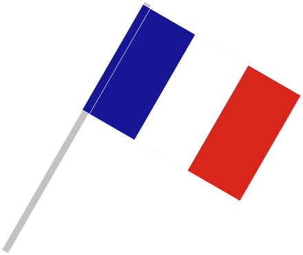 France Flag Png Transparent Image - French Flag With Pole (591x394)