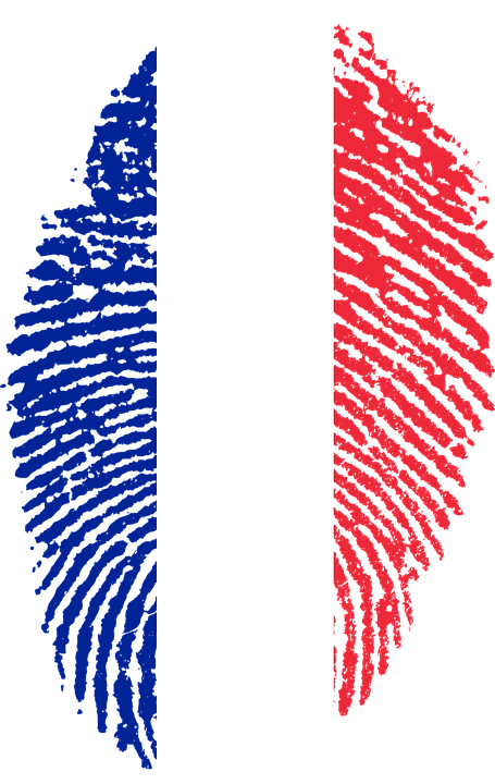 France Flag Fingerprint Png - Am Proud To Be Jordanian (455x720)