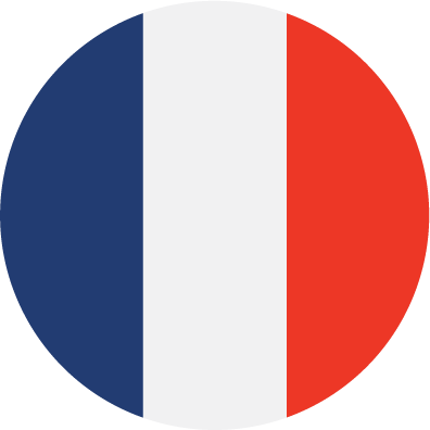 French Team - French Flag Icon Small (396x396)