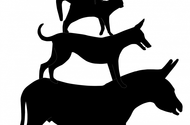 Zoom - Bremen Town Band (640x420)