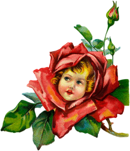 Arana Альбом «clipart / Clipart5 / Vintage Illustrations» - Rose Flower With A Face (430x500)