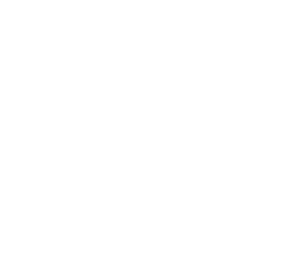 Data Security & Data Protection - Icon (640x300)