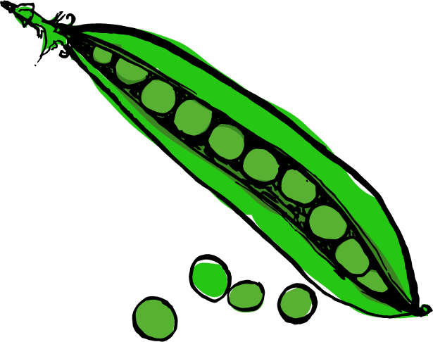 Peas - Clip Art Peas Transparent (615x486)