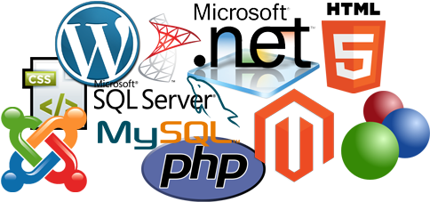 Tr8 Media Website Design And Development - Web Developer Sydney (559x263)