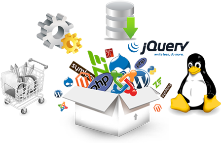 Web Development Qatar - Web Development (482x322)