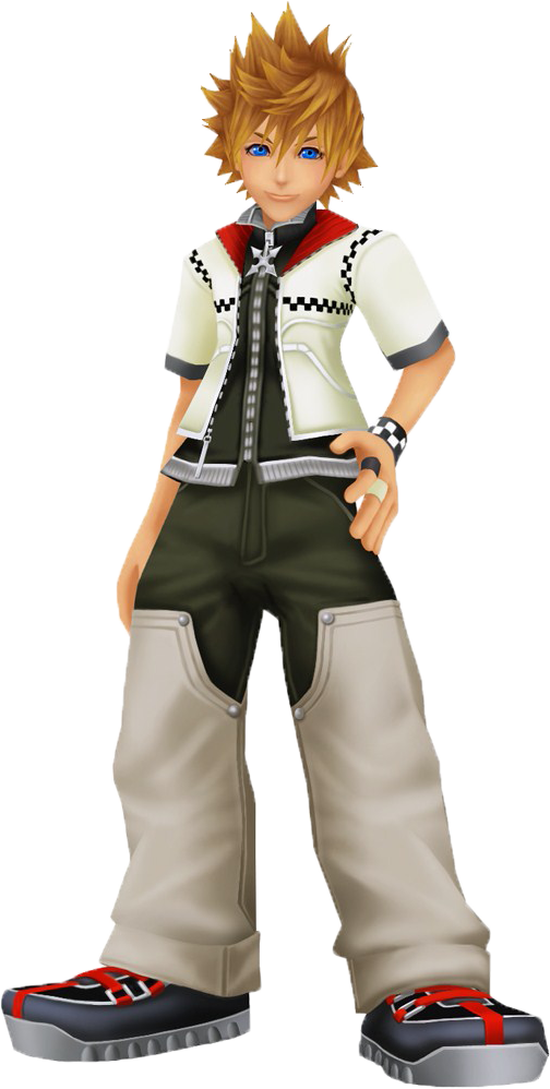 Kingdom Hearts Roxas Costume (504x998)