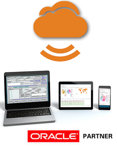 Gesvi Es Un Software De Gestión Para Agencias De Viajes - Oracle New Sun 32gb Ssd Drive Sesx3y11z 371-4196 (t5120 (400x500)