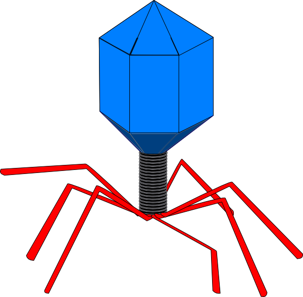 Virus Clipart (600x589)