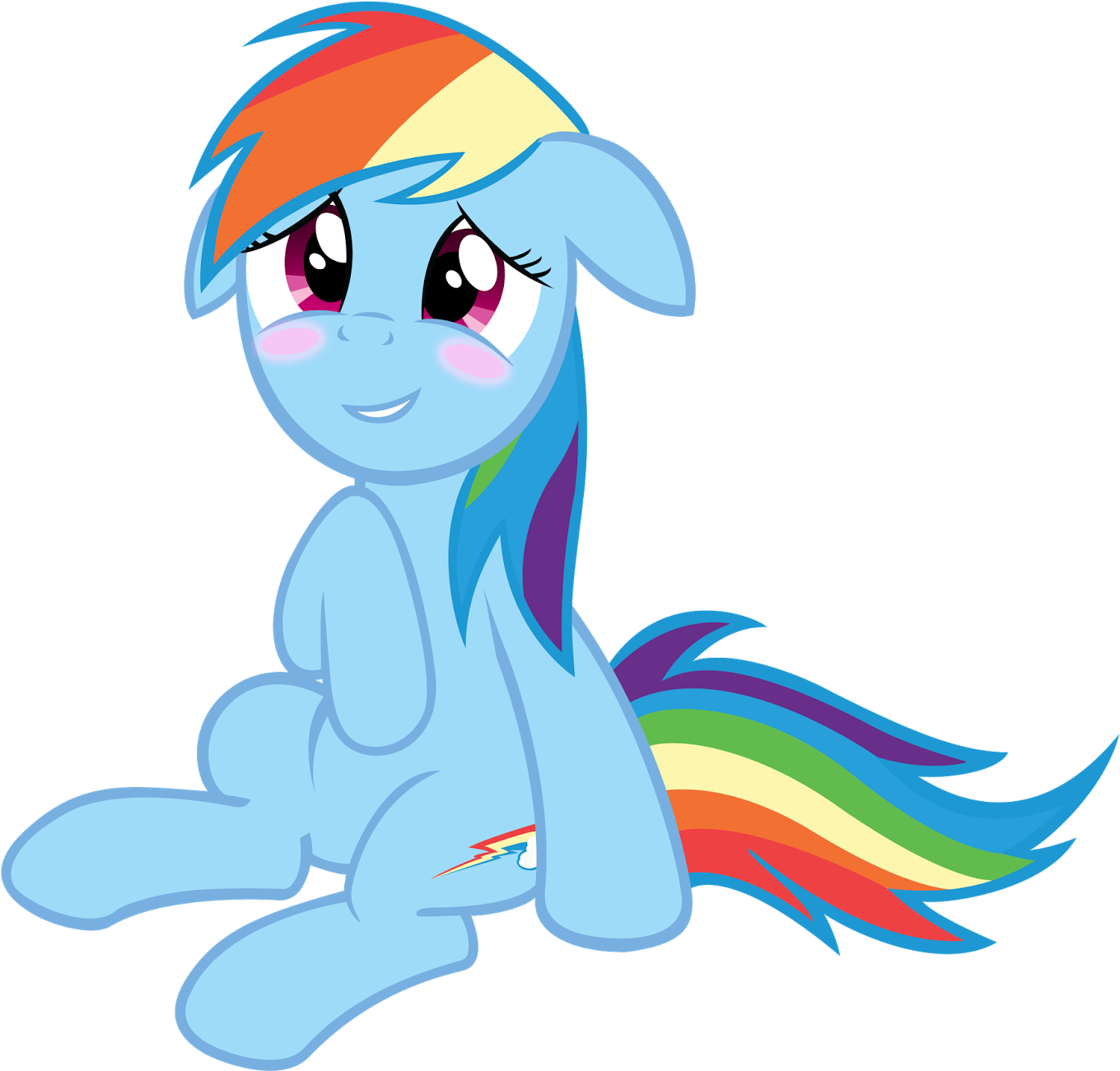 So Many Bats - Mlp Hat Rainbow Dash (1600x1416)
