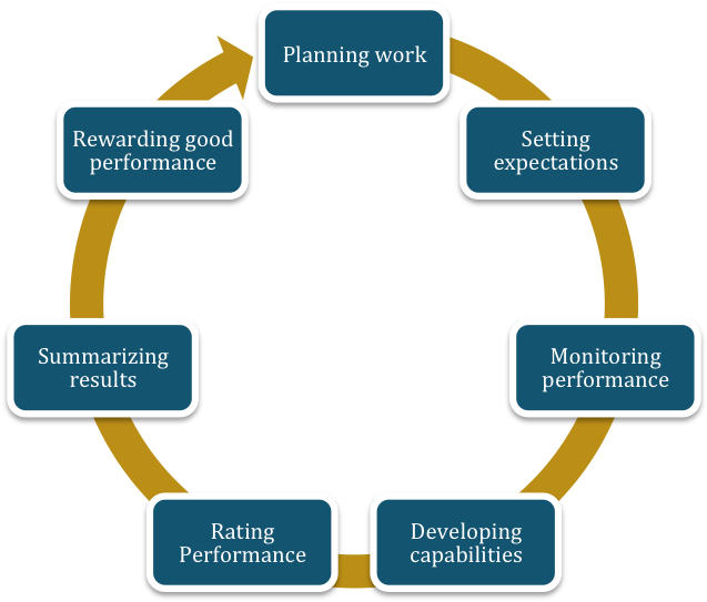 Process Of Performance Management - Estrategias Para La Procrastinacion (900x545)