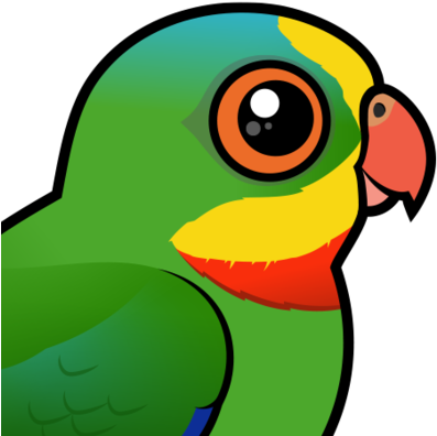 About The Superb Parrot - Superb Parrot Png (440x440)
