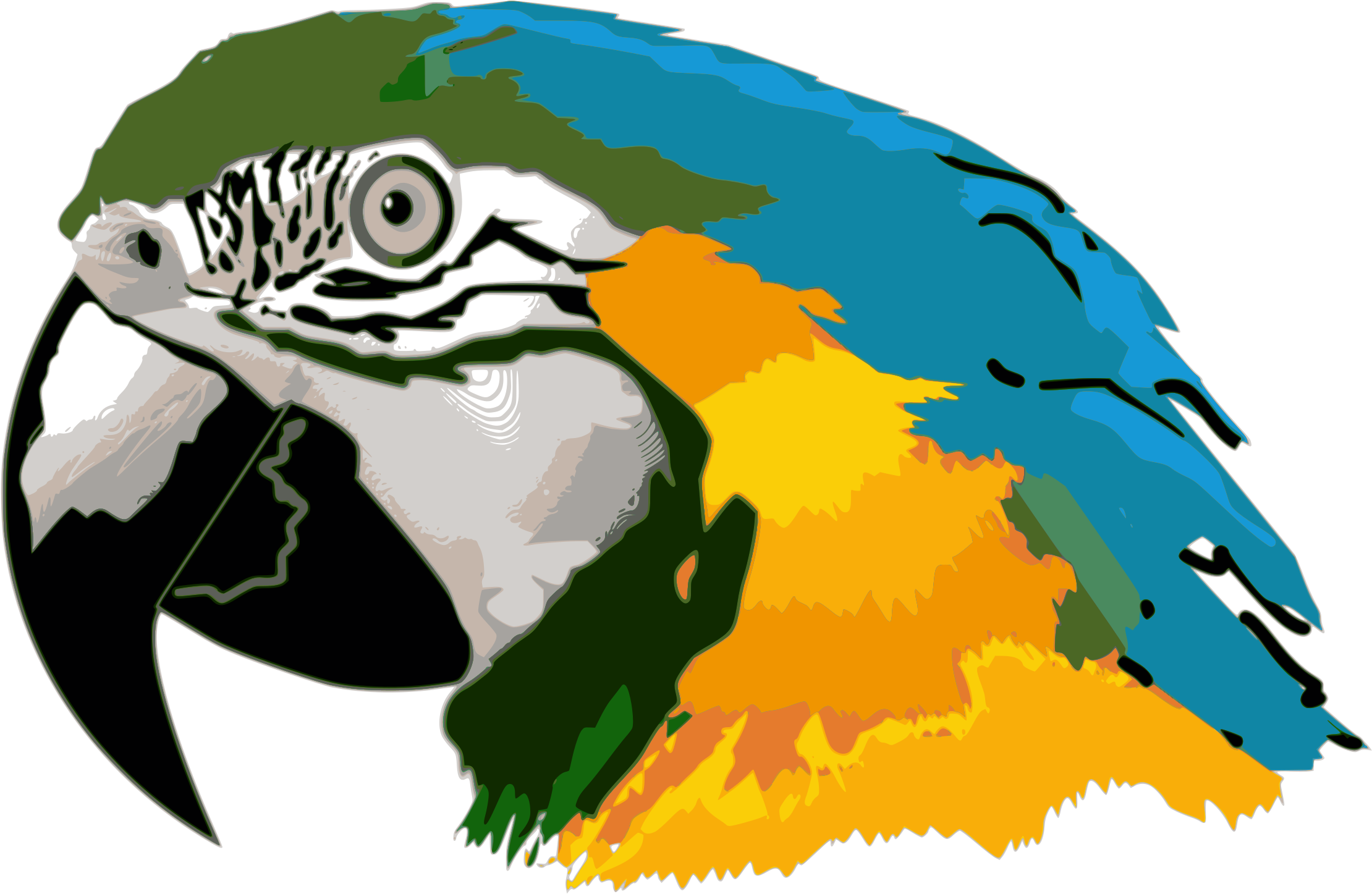 Caninde - Parrot Head Clip Art (2400x1561)
