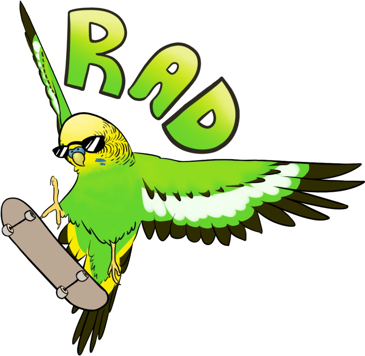 I Have A New Skatebirder Up On Redbubble - Rad Budgie (1280x1375)