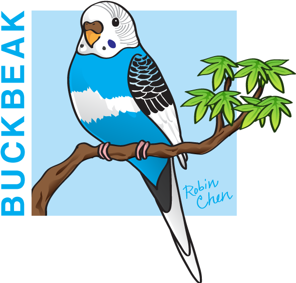 Buckbeak By Meihua - Budgie Vector (598x564)
