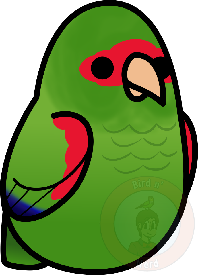 Too Many Birds - Too Many Birds (690x955)