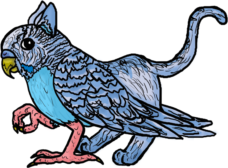 Parakeet Griffon By Inkrose98 - Parakeet Griffon By Inkrose98 (894x894)