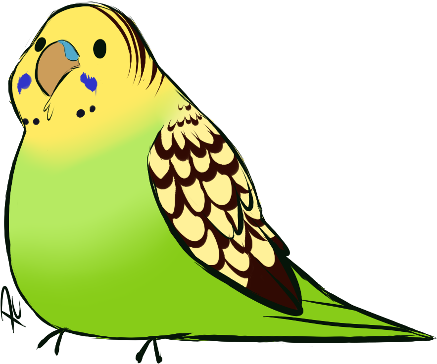 Borb By Pastel-core - Budgie (954x754)