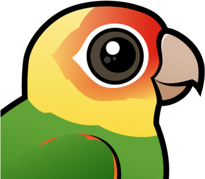 About The Carolina Parakeet - Conures Green Cheek Pineapple (440x440)