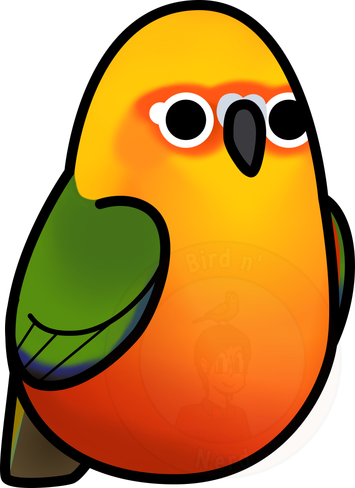 Jenday Conure/jendaya Parakeet By Maddemichael - Jenday Conure/jendaya Parakeet By Maddemichael (700x962)