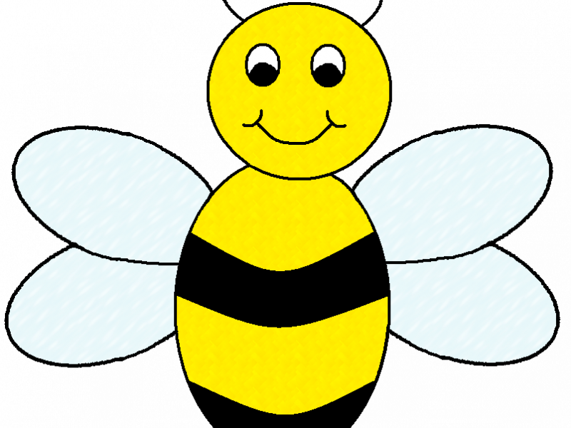 Homey Inspiration Honey Bee Images Clip Art - Homey Inspiration Honey Bee Images Clip Art (800x600)