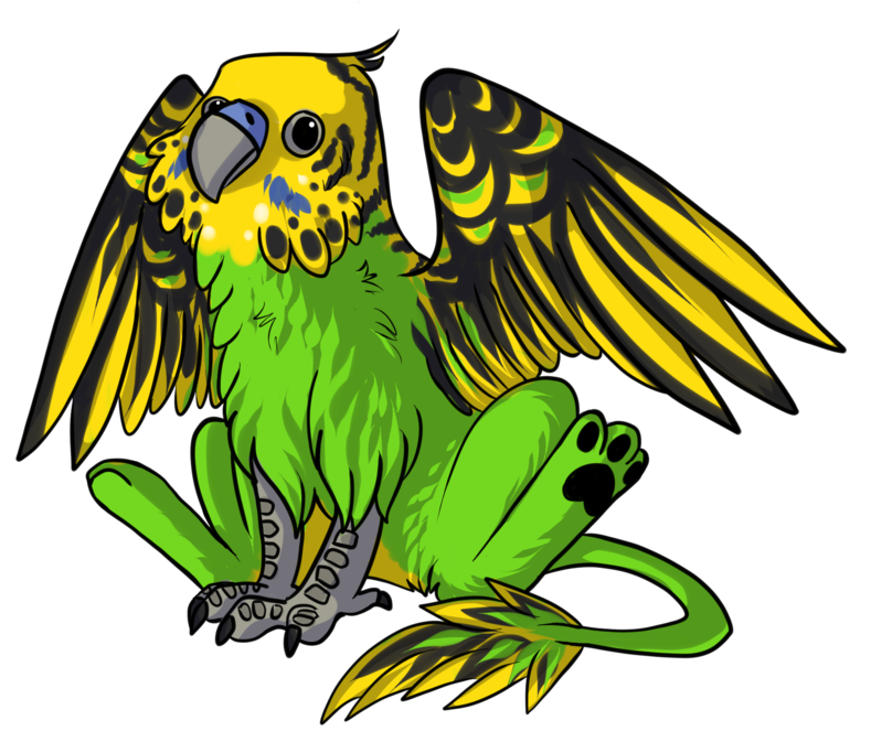 Lilaira 1,312 74 Budgie Griffin By Dragondodo - Budgerigar (900x675)