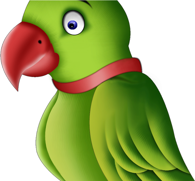 Parrot Png (1200x630)