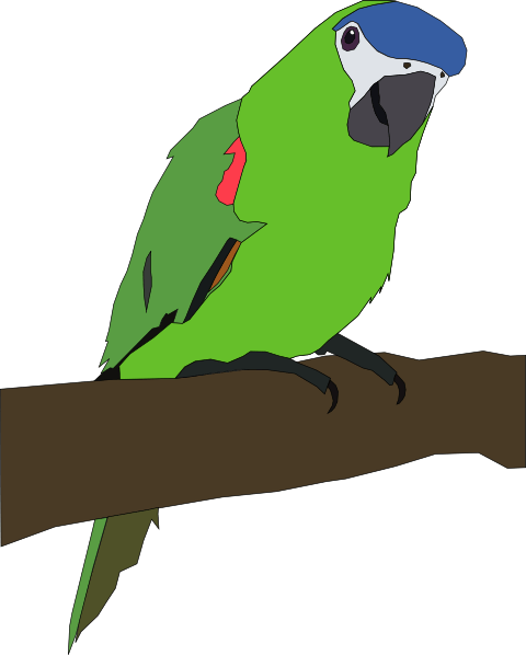 Parakeet Clipart - Clip Art (480x598)