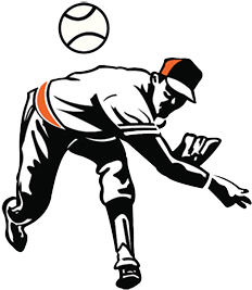 Baseball Icon - 501 Baseball Books Fans Must Read Before They Die (480x270)