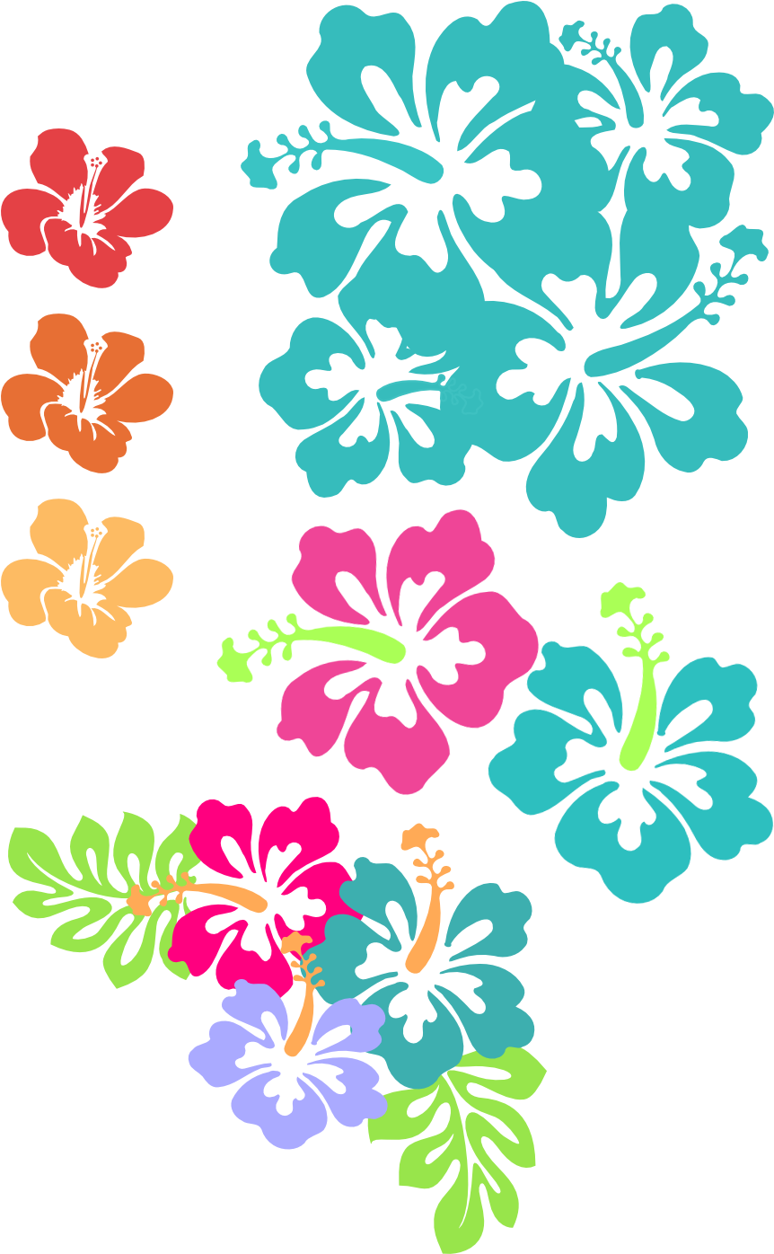 Hibiscus - Hibiscus Clipart Png (974x1442)