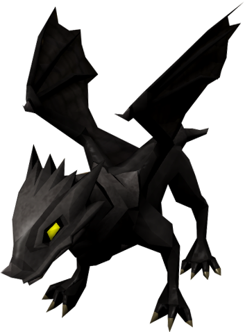 Baby Black Dragon - Baby Black Dragon Pet (353x478)