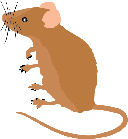 Beautiful Mouse Clipart Animal Clip Arts - Mouse Clipart (508x508)