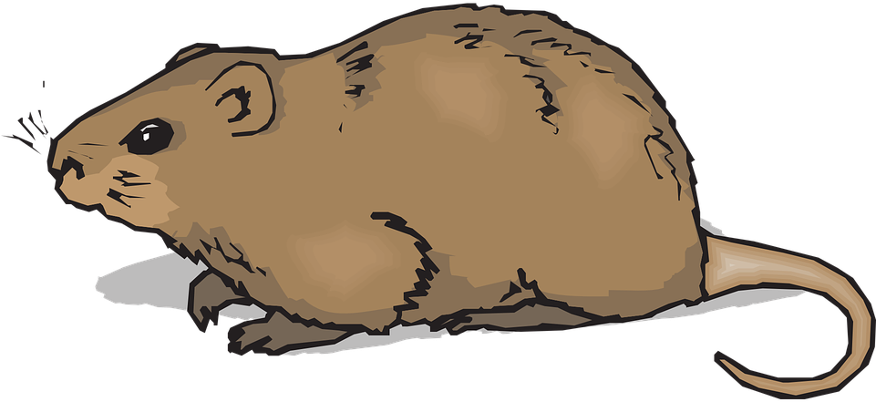 Gopher Cliparts 13, Buy Clip Art - Hamster Clipart (960x480)