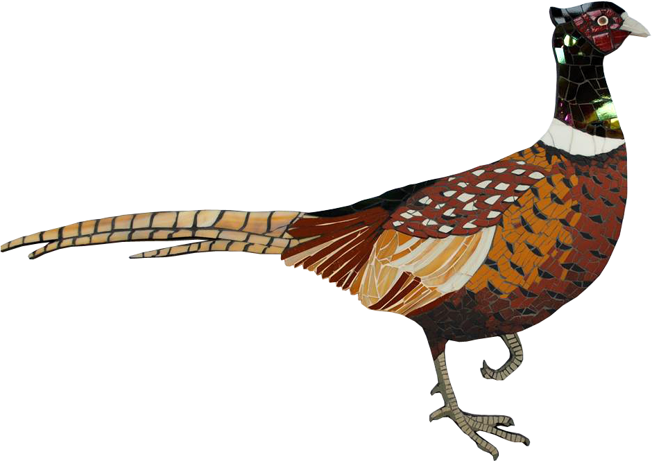 Gallery - Ring-necked Pheasant (960x673)
