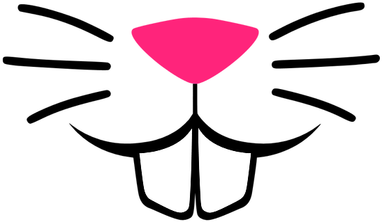 Bunny Face - Bunny Whiskers And Nose (784x784)