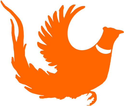 Longtail Rooster Pheasant, Pheasant Hunting Decal - Pheasant (1100x1100)