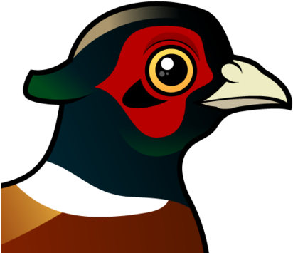 About The Common Pheasant - Cartoon Pheasants (440x440)