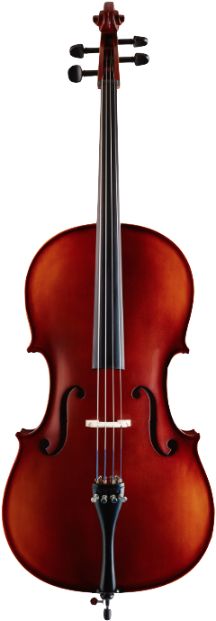 Picture - Carlo Robelli Cello (346x746)