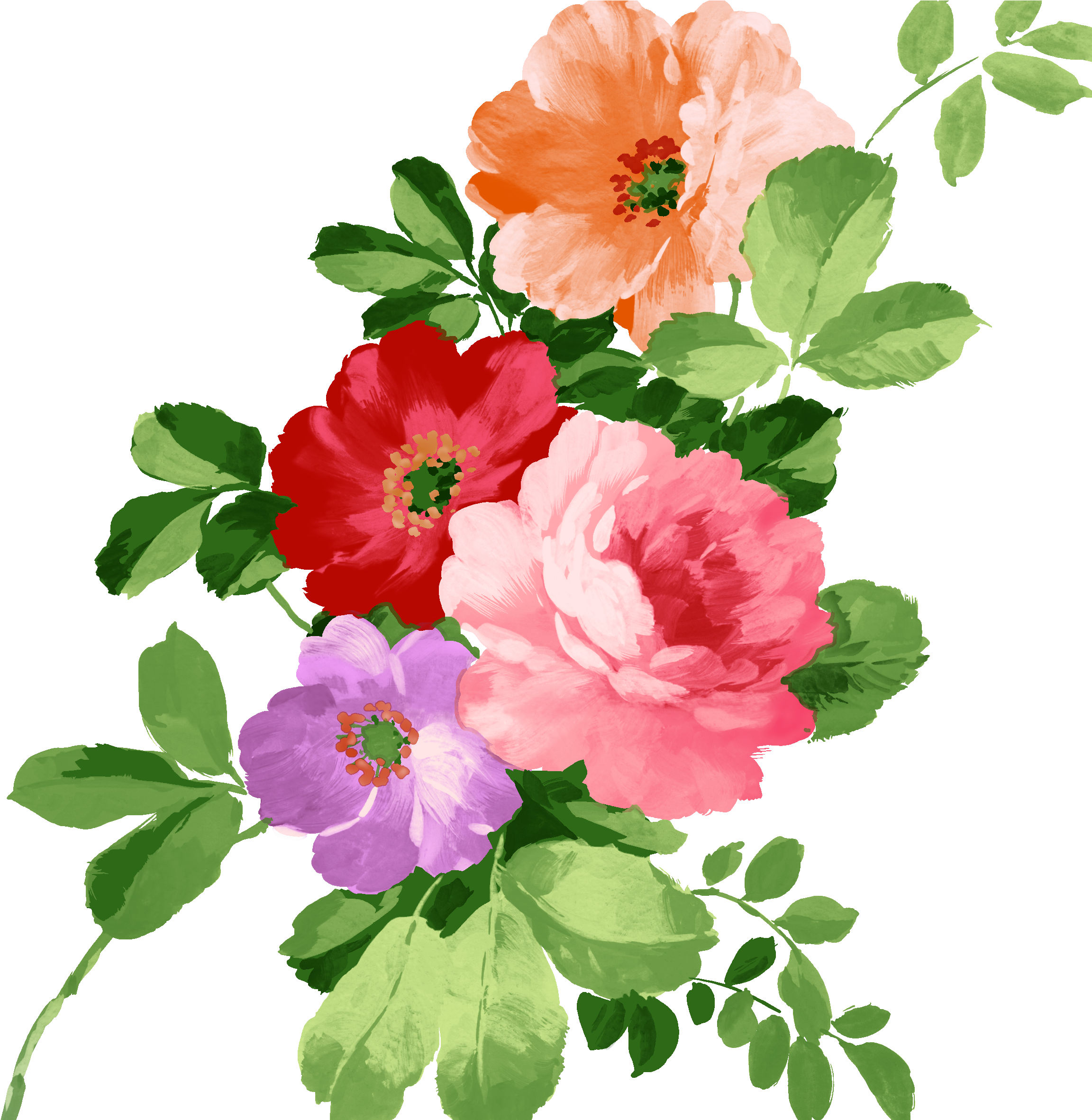 Watercolor Floral Elements - Imagens De Flores Png.