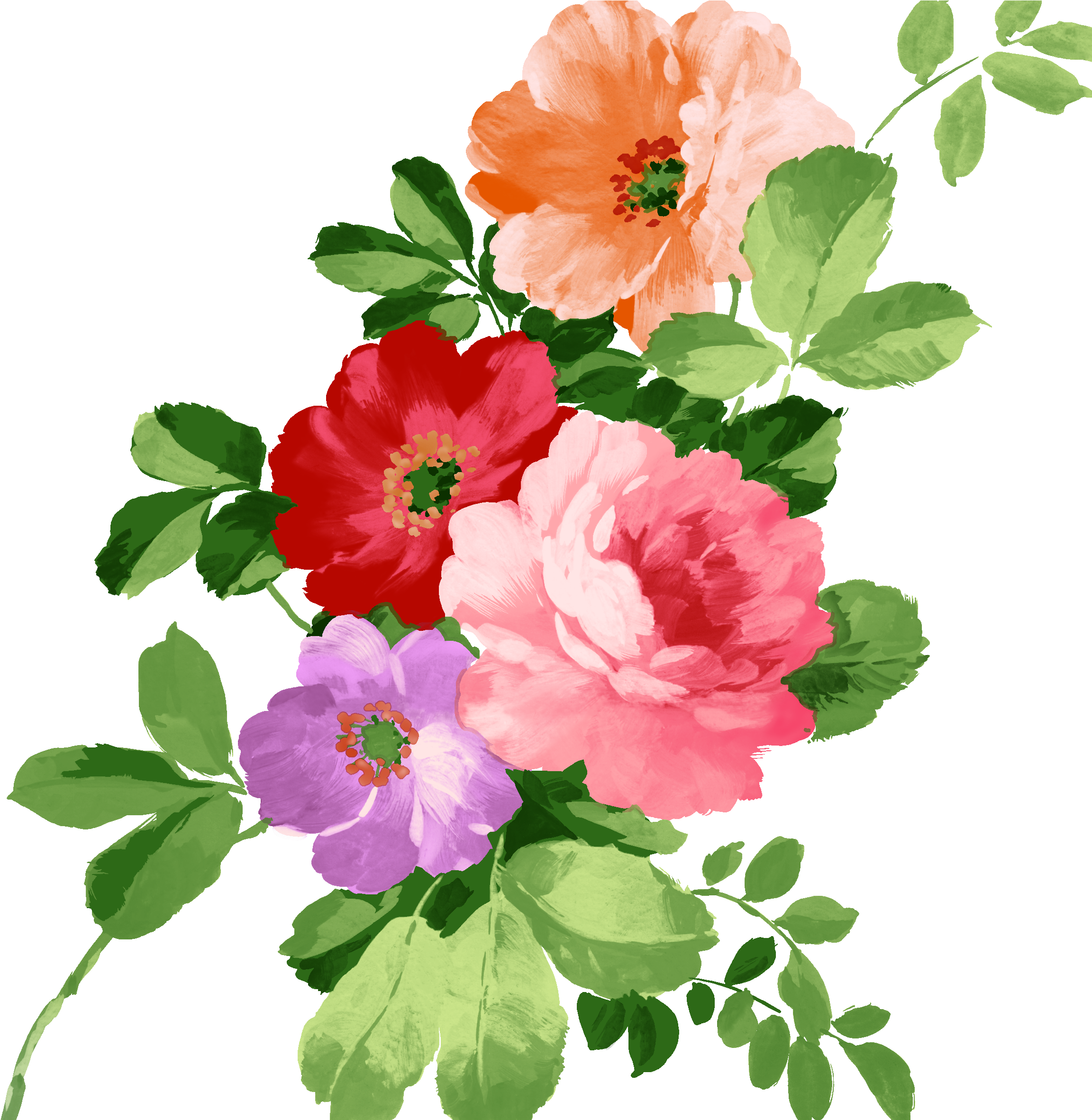 Watercolor Floral Elements - Imagens De Flores Png (2362x2362)