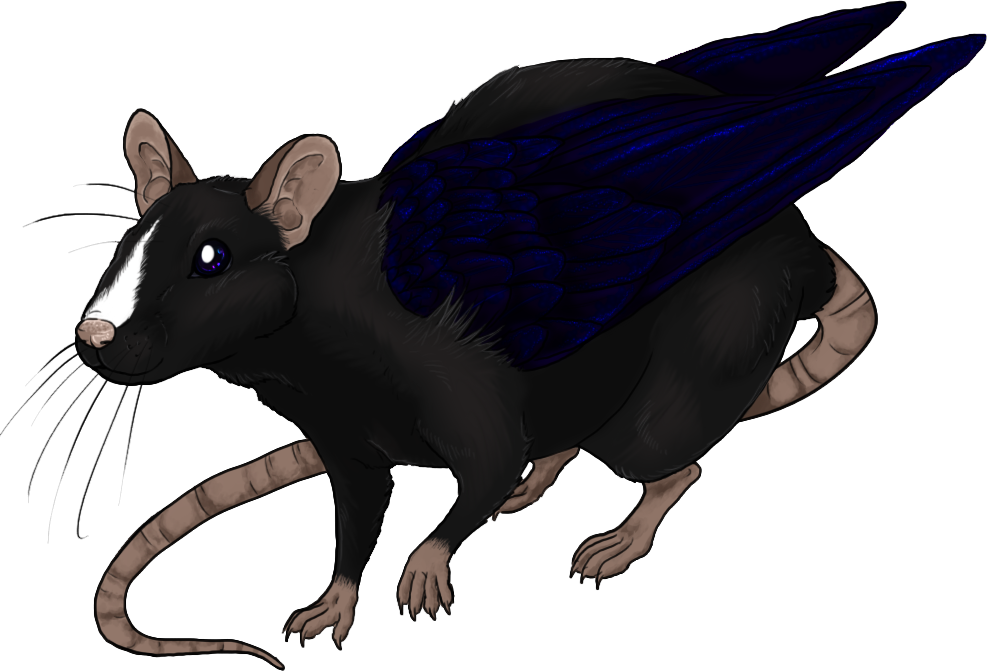 Unpleasant Pheasant 55 1 Once Upon A Dream By Unpleasant - Rat (987x671)